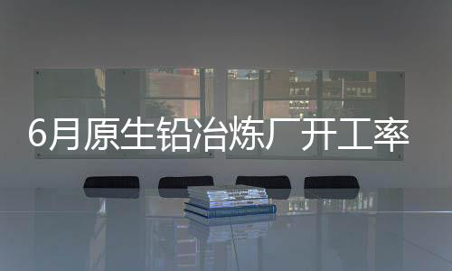 6月原生铅冶炼厂开工率56.35%